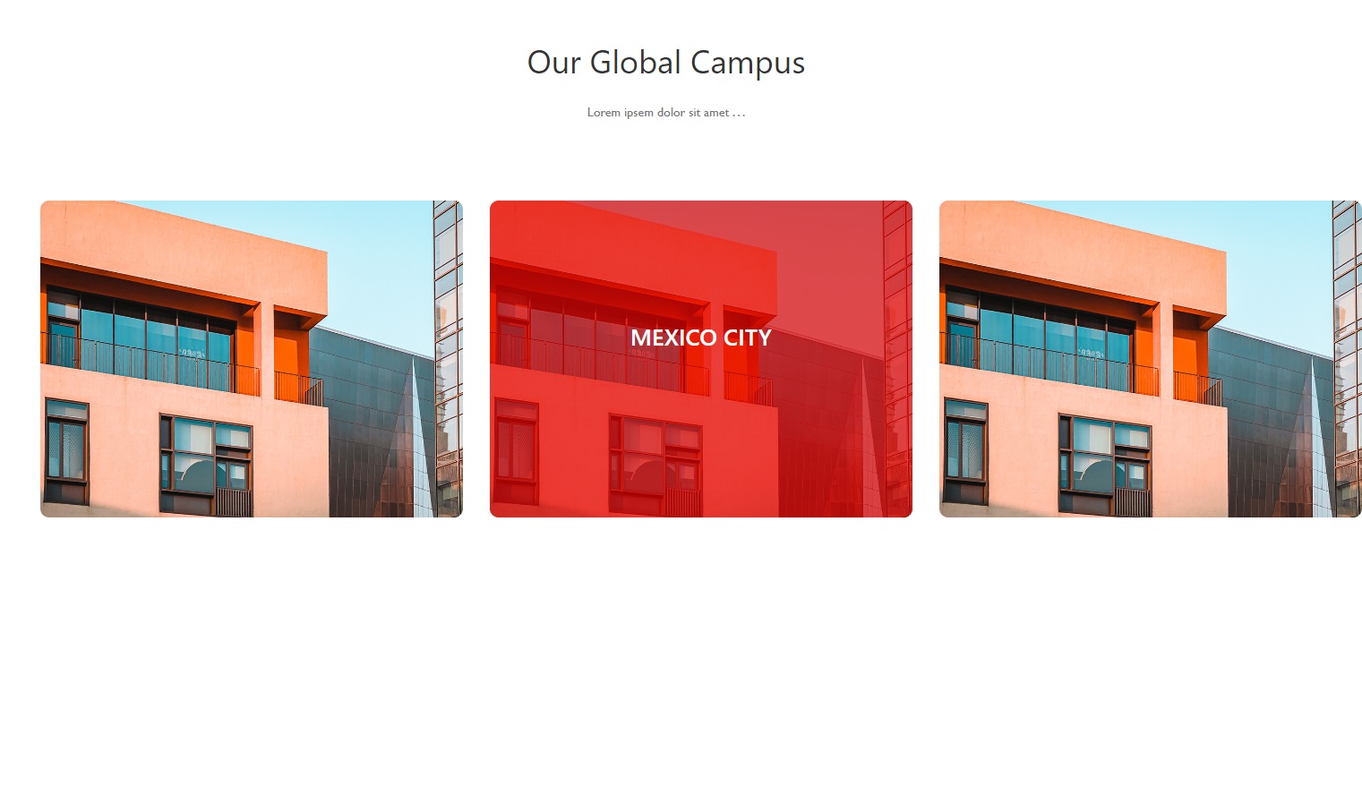 portfolio page picture